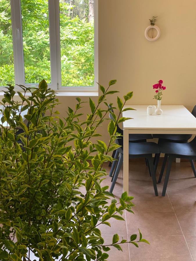 Buxus Hotel Shekvetili Kültér fotó
