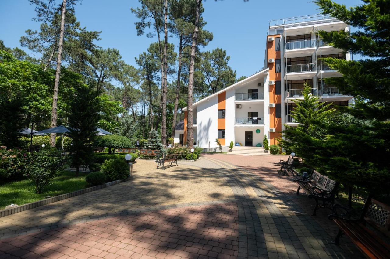 Buxus Hotel Shekvetili Kültér fotó