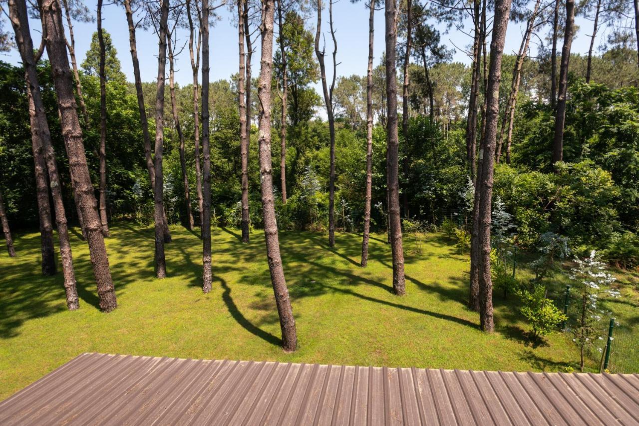 Buxus Hotel Shekvetili Kültér fotó