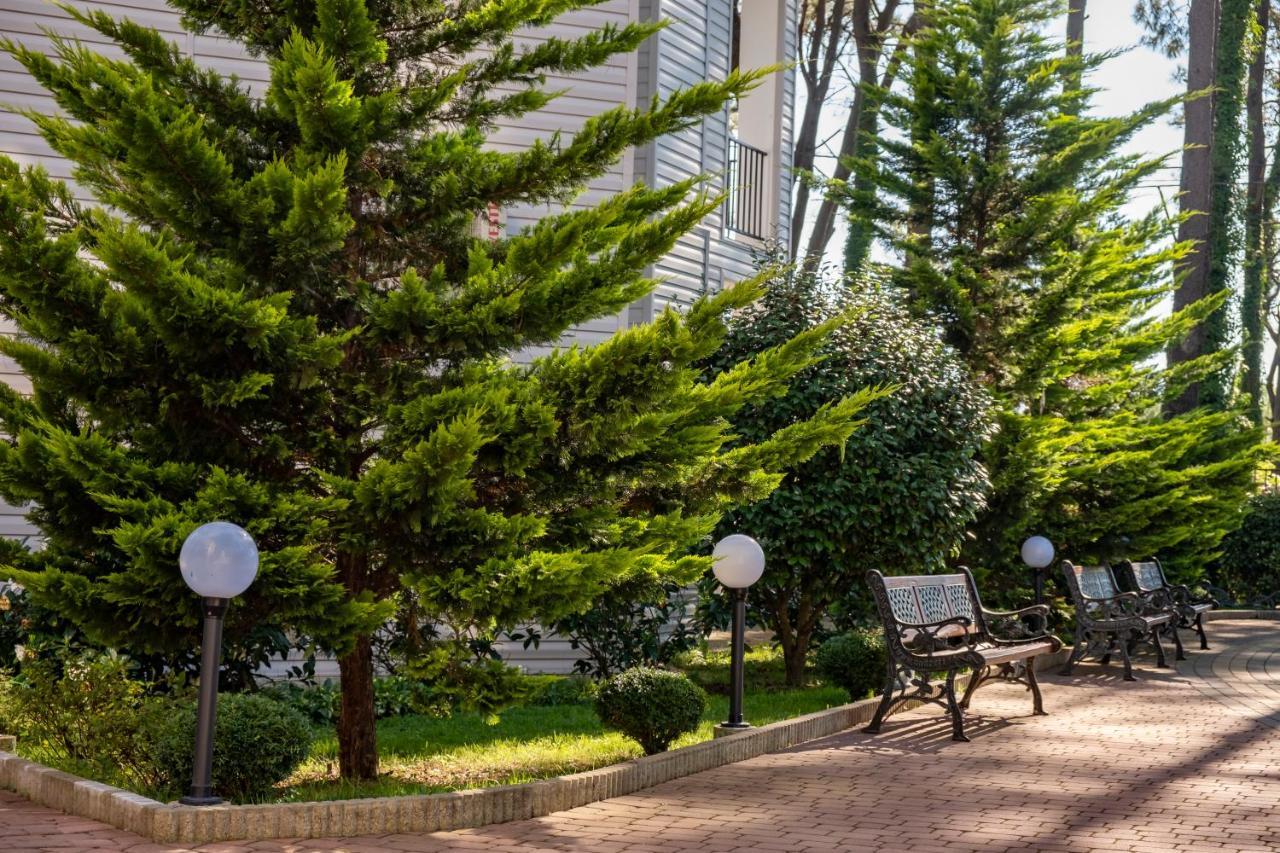Buxus Hotel Shekvetili Kültér fotó