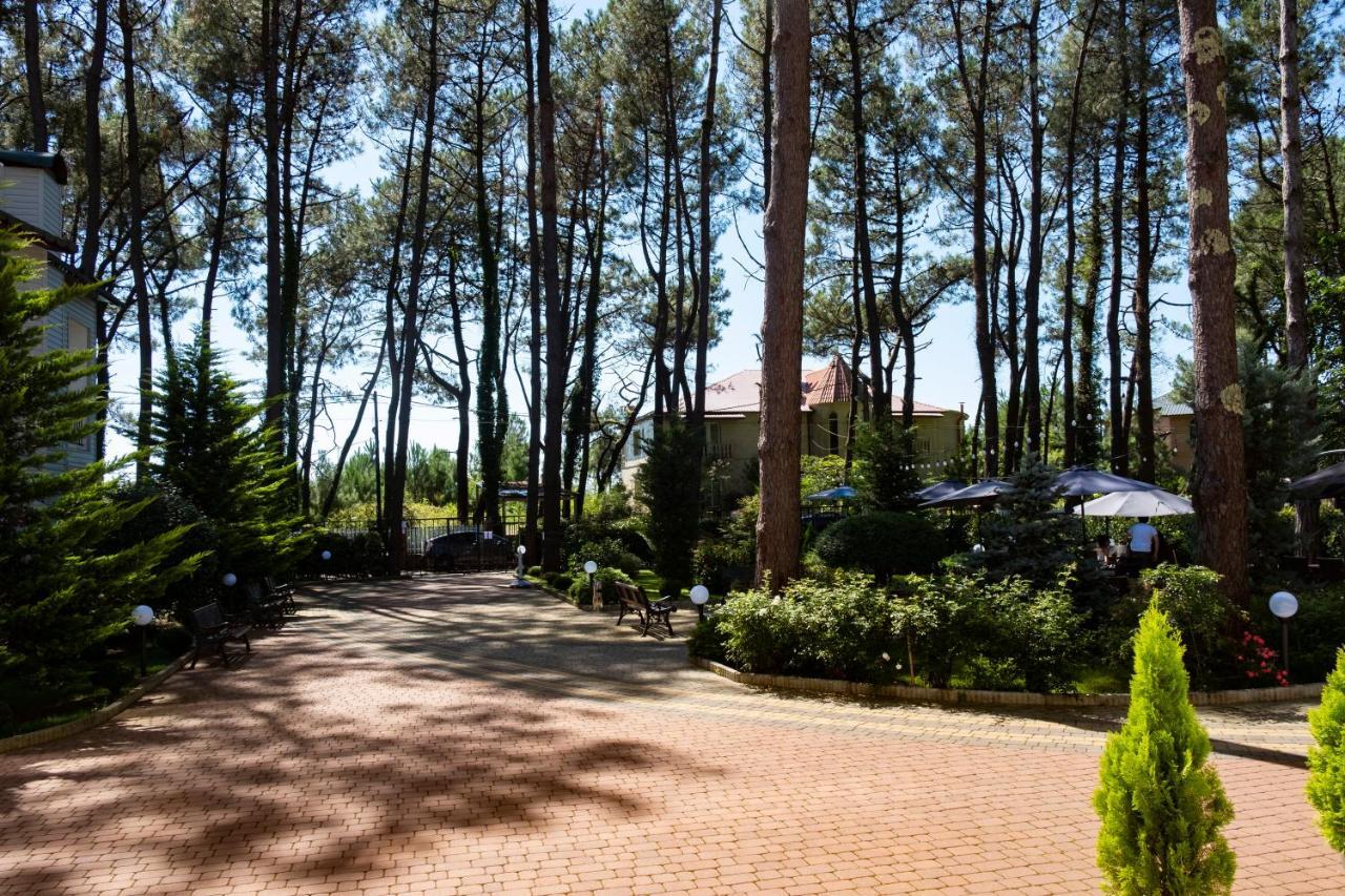 Buxus Hotel Shekvetili Kültér fotó
