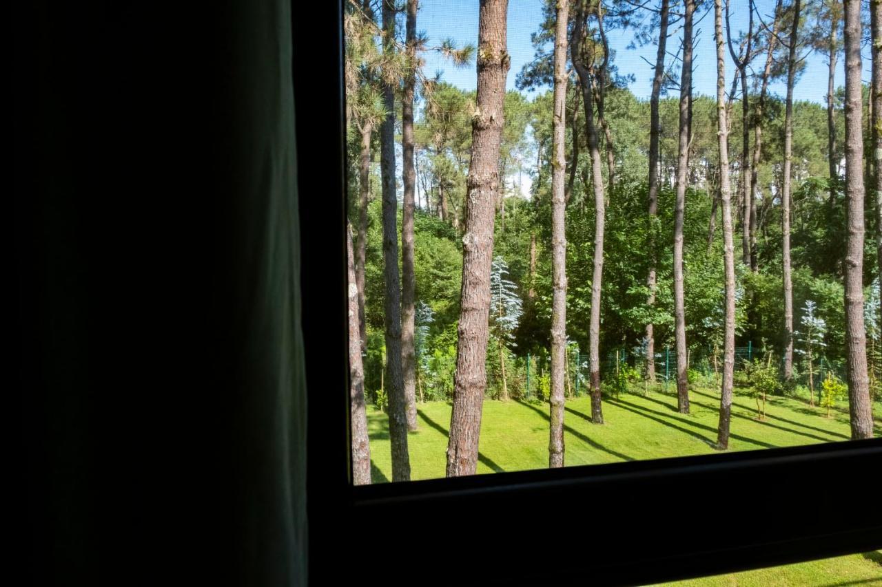 Buxus Hotel Shekvetili Kültér fotó