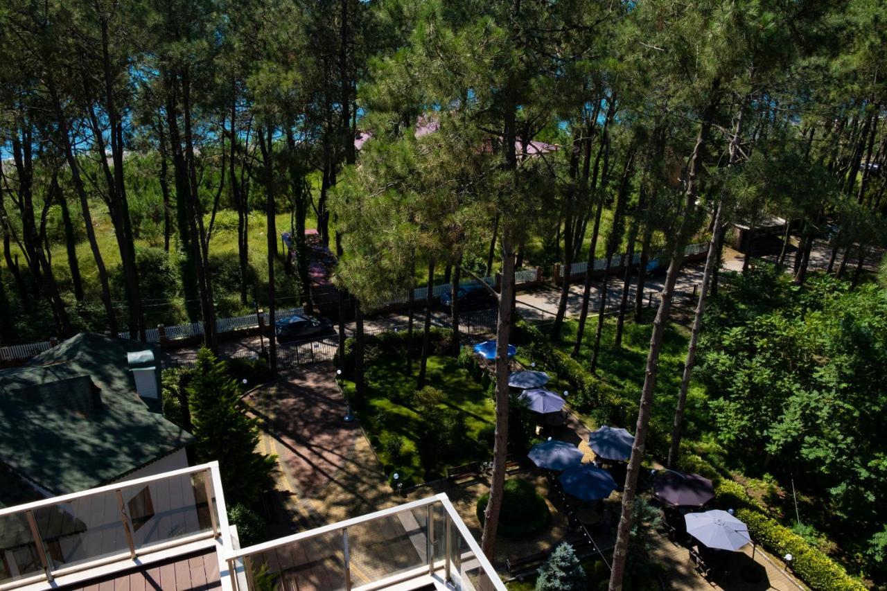 Buxus Hotel Shekvetili Kültér fotó