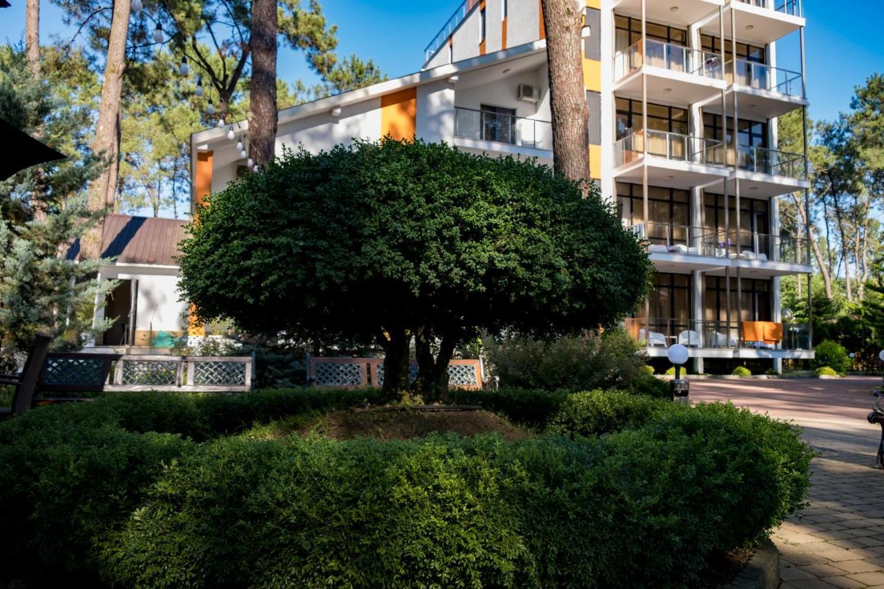 Buxus Hotel Shekvetili Kültér fotó