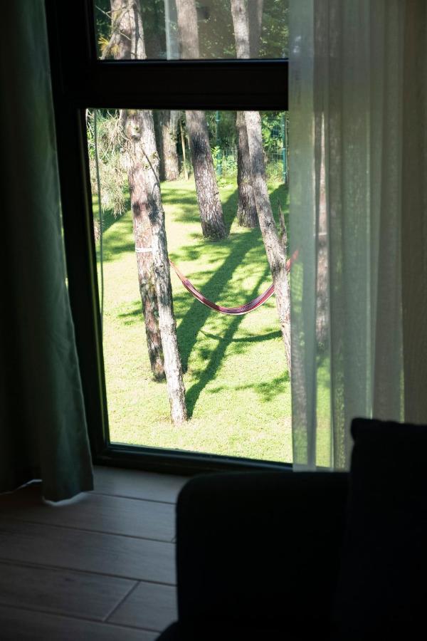 Buxus Hotel Shekvetili Kültér fotó