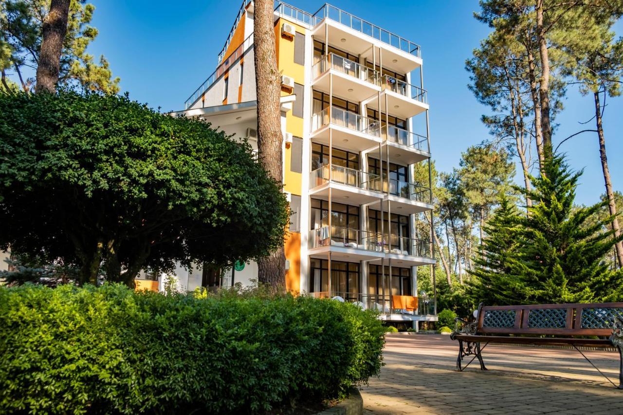 Buxus Hotel Shekvetili Kültér fotó