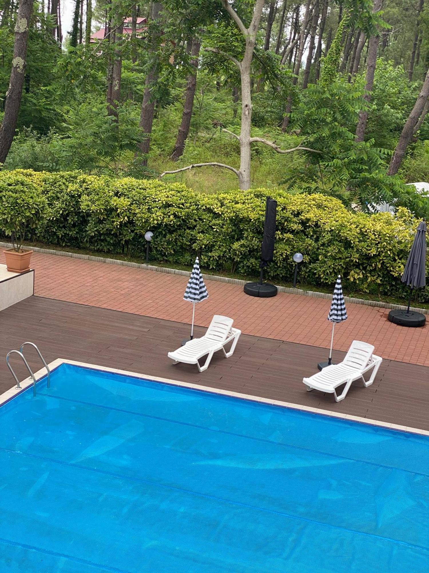 Buxus Hotel Shekvetili Kültér fotó